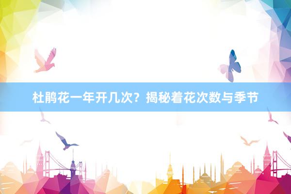 杜鹃花一年开几次?揭秘着花次数与季节